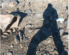 A shadow of a person on a rocky shore.