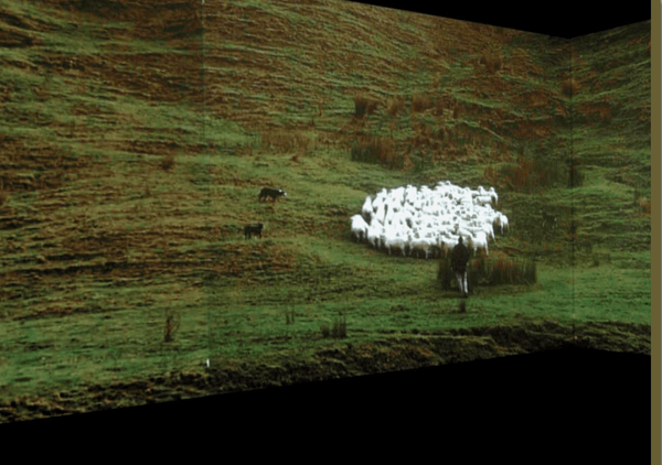 A farmer with his dogs and a flock of sheep.