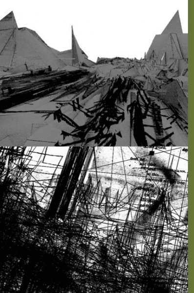 Lots of black lines made using a three dimensional modeling program.